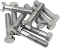 DRAG SPECIALTIES 3/8-24 X 2 Chrome Hex Head MPB160