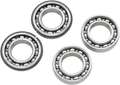 Hot Rods Counter Balancer Bearing Kit - Polaris BBK0031