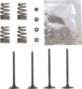 WISECO Valve Kit SVKB6327