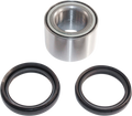 EPI Wheel Bearing Kit - Rear WE301034
