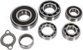 Hot Rods Transmission Bearings Kit TBK0057