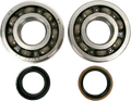 Hot Rods Crank Bearings K057