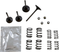 WISECO Valve Kit SVKB4406