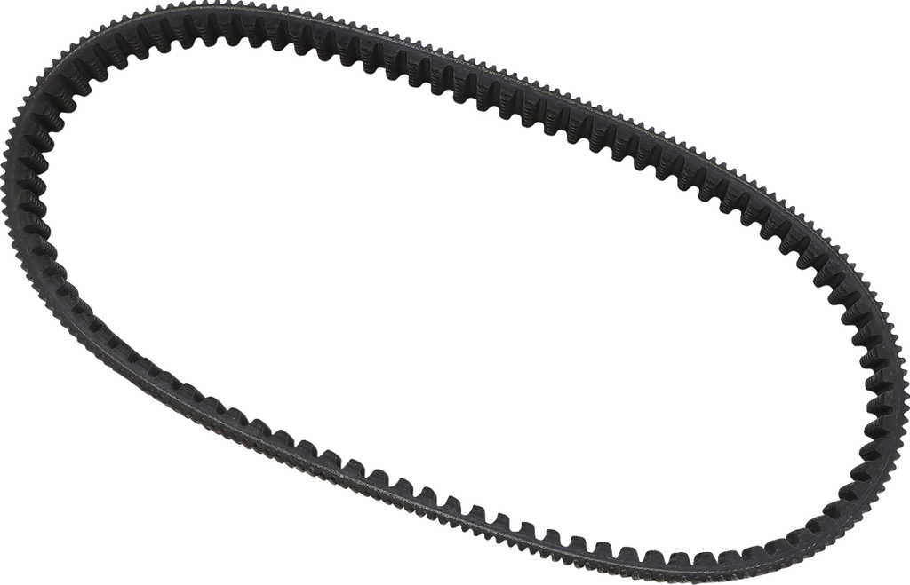 EPI Drive Belt WE262204