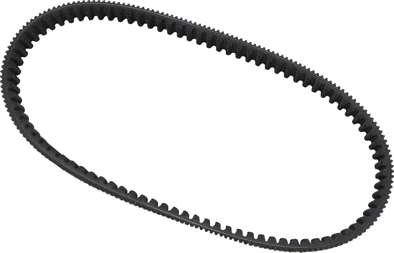 EPI Drive Belt WE262204