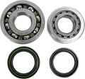 Hot Rods Crank Bearings K063