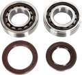 Hot Rods Crank Bearings K085
