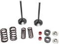 MOOSE RACING Intake Valve Kit M30-32440