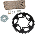 VORTEX Chain Kit - Gold - Yamaha - YZF-R1 CKG6153