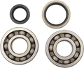 Hot Rods Crank Bearings K232