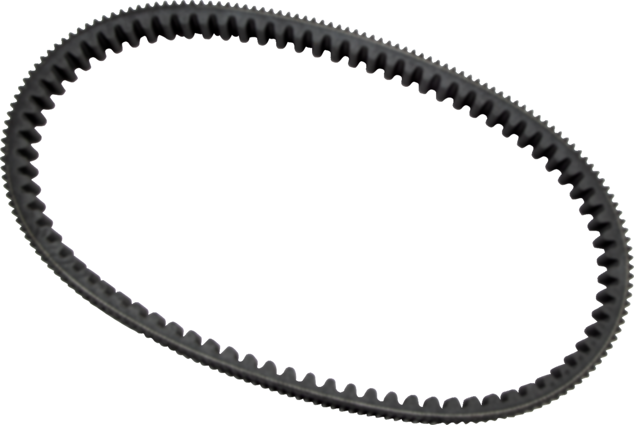 EPI Drive Belt WE262233