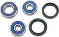 MOOSE RACING Wheel Bearing Kit - Rear 25-1095