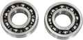 Hot Rods Counter Balancer Bearing Kit BBK0020