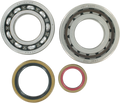Hot Rods Crank Bearings K066