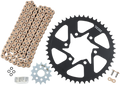 VORTEX Steel Chain Kit - Gold CKG6398