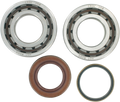 Hot Rods Crank Bearings K067