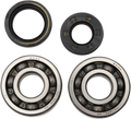 Hot Rods Crank Bearings K010