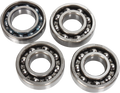 Hot Rods Counter Balancer Bearing Kit - Yamaha BBK0008