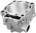 CYLINDER WORKS Cylinder - Standard ACTUALLY FOR STD BORE 10003