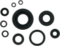 MOOSE RACING Motor Seals 822304MSE