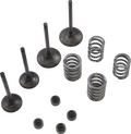 WISECO Valve Kit SVKB3407