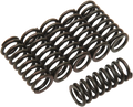 BARNETT Clutch Springs 501-79-06036