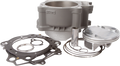 CYLINDER WORKS Cylinder Kit - Standard 10001-K01