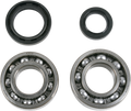 MOOSE RACING Crank Bearings and Seals - Suzuki 24-1037