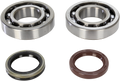 Hot Rods Crank Bearings K074
