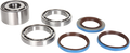 MOOSE RACING Differential Bearing/Seal Kit - Rear 25-2098