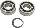Hot Rods Transmission Bearings Kit TBK0110