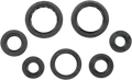MOOSE RACING Motor Seals 822236MSE