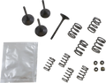 WISECO Valve Kit SVKB4409