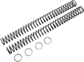 RACE TECH Fork Springs - 0.46 kg/mm FRSP 414746
