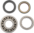 Hot Rods Crank Bearings K073