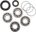 Hot Rods Crank Bearings K225