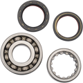 Hot Rods Crank Bearings K041