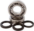 Hot Rods Crank Bearings K046