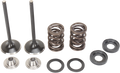 MOOSE RACING Intake Valve Kit M96-96070