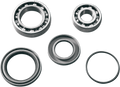 EPI Axle Seal - Rear WE300013