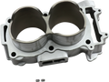 CYLINDER WORKS Cylinder - Standard ACTUALLY FOR STD BORE 60006