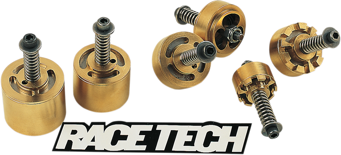 RACE TECH Gold Valve Cartridge Fork Emulators for Damping Rod Forks - 43 mm FEGV 4301