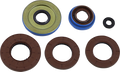 MOOSE RACING Oil Seal Set 822141MSE