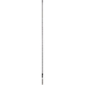 MOOSE RACING 5' Whip Light - RGB - Black - Chase SB-CHSBTR-151PU