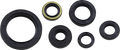 MOOSE RACING Oil Seal Set 822137MSE
