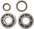 Hot Rods Crank Bearings K229