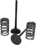 WISECO Valve Kit SVKB6333