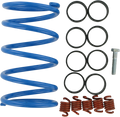 EPI Clutch Kit WE391000