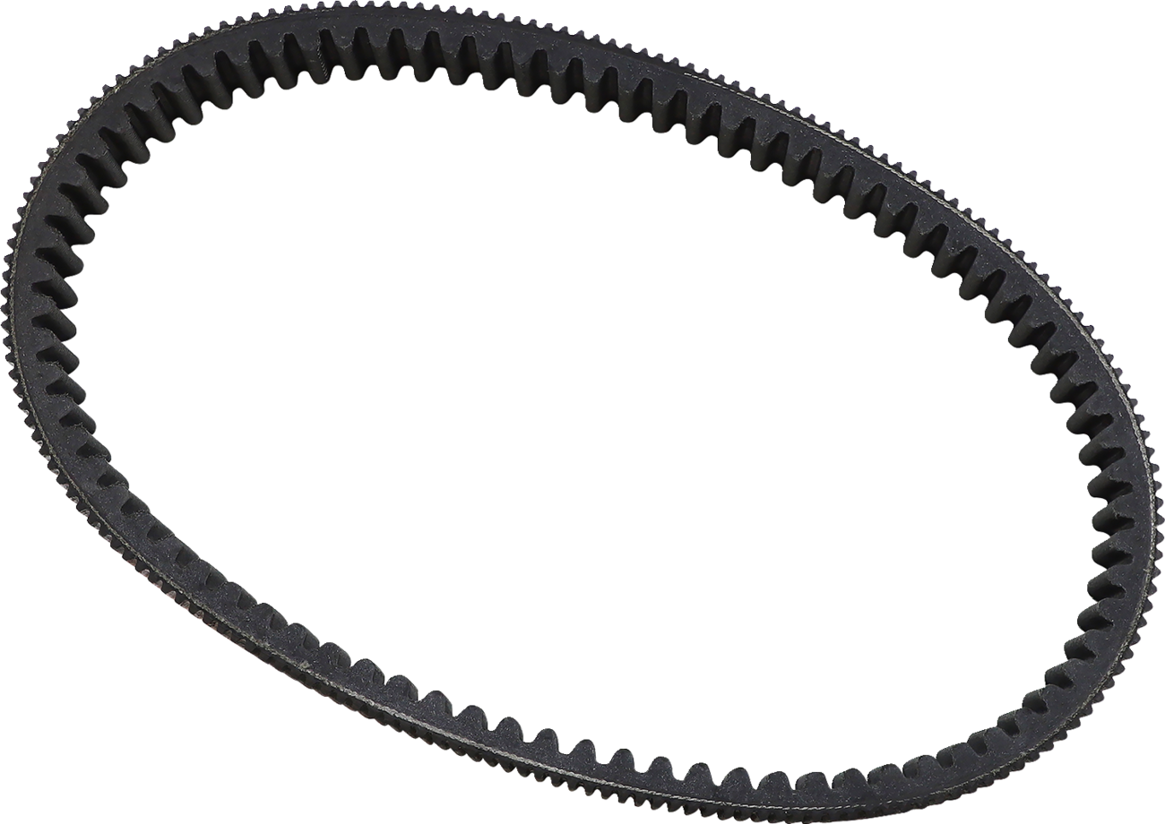 EPI Drive Belt WE262234