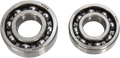Hot Rods Counter Balancer Bearing Kit BBK0021